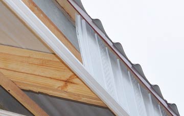 why Single Hill fascia repairs are essential