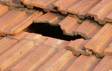 roof repair Single Hill, Somerset
